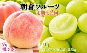 限定 数量 定期便 2回 桃 シャインマスカット 2027年 発送 フルーツ 夏のフルーツ定期便 果物 もも モモ マスカット デザート 朝倉 ※配送不可 離島