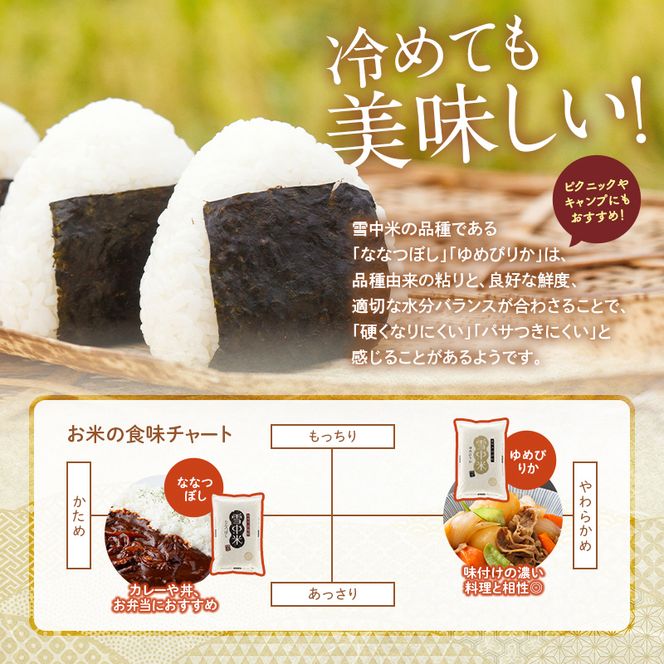 令和8年産【定期便3ヶ月】ななつぼし 精米 5kg（5kg×1袋）【1月発送】 開始 雪冷気 籾貯蔵 雪中米 北海道 nr-2178