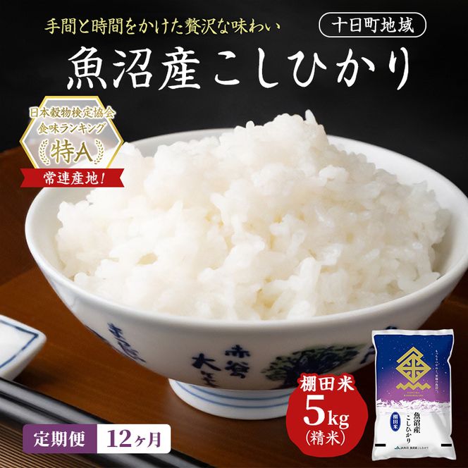 【12ヶ月定期便】魚沼産こしひかり 棚田米(十日町地域) 精米 5kg 米 お米 コシヒカリ 定期 十日町市