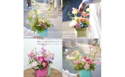 【CF-R7hbk】《3ヵ月定期便》季節の生花カラーバスケットフラワーS カラーバスケット 紙バンドバスケット フラワーバスケット 季節 手作り ブルースター トルコギキョウ お取り寄せ 生花 プレゼント 贈り物
