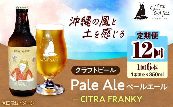 【全12回定期便】-CLIFF BEER- CITRA FRANKY  (ペールエール) 6本入り ビール クラフトビール 350ml 飲み比べ ギフト 沖縄市 / 株式会社クリフクラフト[BCDS012]