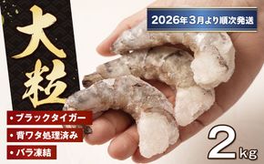 至福の大粒 むきえび　背ワタ処理済 2kg（1kg×2袋）【2026年3月より順次発送】　ブラックタイガー 冷凍 むきえび  大型 海老