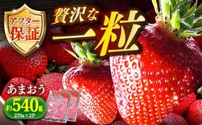【1月より順次発送】農家直送 朝採り新鮮いちご【博多あまおう】約270g×2パック《築上町》【株式会社H&Futures】[ABDG001]