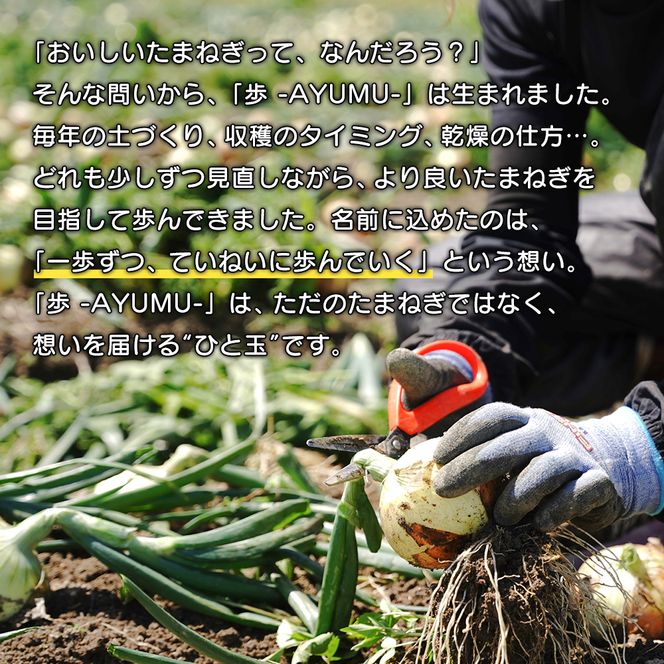 【新玉ねぎ】淡路島たまねぎ 歩-AYUMU- 5kg【発送時期：2026年3月～5月頃】玉ねぎ