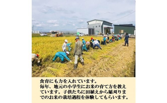 【令和8年産】【日本農業賞大賞】ゆめみづほ3kg精白米 能美市 お米 精米銘柄米 ご飯 おにぎり お弁当 和食  粘りが少ない 精米したて 一等米 172111_AE008