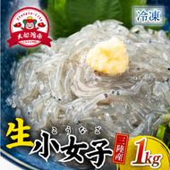 生 小女子(こうなご) 三陸産 数量限定 1kg 冷凍 刺身 生食 小分け 刺身用 生食可能 小女子 こうなご 新子 しんこ イカナゴ 稚魚 新鮮 海鮮 魚介 国産 取り寄せ グルメ 急速冷凍 岩手 大船渡 岩手県 大船渡市 [kouyou015]
