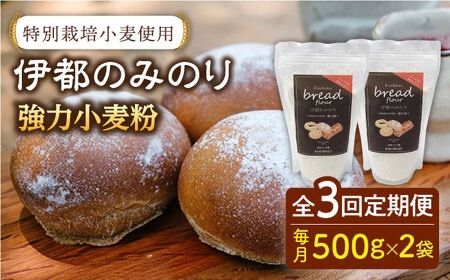 [全3回定期便]特別栽培 小麦 使用 伊都 の みのり( 500g × 2袋 )糸島市 / 天然パン工房楽楽[いとしまごころ] [AVC066] 小麦 小麦粉 強力 強力粉 特別栽培 パン ぱん ブラン