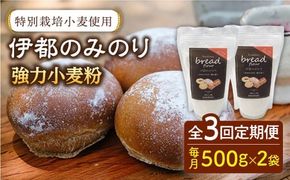 【全3回定期便】特別栽培 小麦 使用 伊都 の みのり( 500g × 2袋 )糸島市 / 天然パン工房楽楽【いとしまごころ】 [AVC066] 小麦 小麦粉 強力 強力粉  特別栽培 パン ぱん ブラン