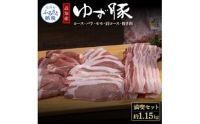 【CF-R7hbk】NIN002　なはりゆず豚満喫セット 1.15kg - 豚バラ ロース モモ 肩ロース 挽き肉 ひき肉 豚 豚肉 国産 詰め合わせ セット 冷凍 料理 おうちごはん 個包装 13000円 高知県産 高知