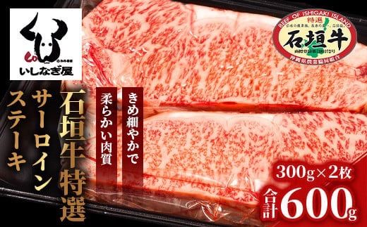 yꌧΊ_szΊ_IT[CXe[L300g×2iȂjAB-18