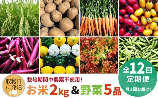 yszyS12ցzy͔|Ԓ_sgpIz  2kg &  5i  Zbg s / I[KjbNiK~ct@[  [AGE038]