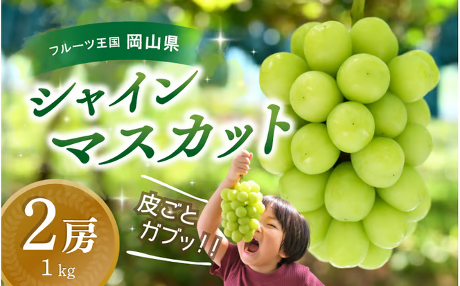 【2026年先行予約】 花笑み農園 シャインマスカット1kg（2房）贈答用 （優品以上） 大粒でずっしり！ 岡山 真庭 シャインマスカット 大粒 ぶどう 2026年9月下旬～ 受付順に発送予定 【hana015-03】