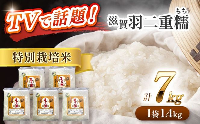 令和6年産　愛知県産滋賀羽二重糯　計7kg 1.4kg（1升）5袋セット　特別栽培米　もち米　お米　愛西市／戸典オペレーター[AECT003]