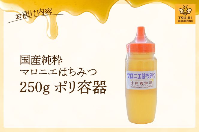 【国産純粋 マロニエはちみつ 250g ポリ容器】国産 純粋 マロニエ はちみつ ハチミツ 蜂蜜 栃の木 やさしい 香り まろやか パン ヨーグルト おすすめ 兵庫県 香美町 辻井養蜂場 81-01