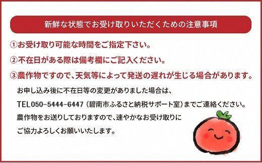 【先行受付】2027年1月～6月毎月発送　まるでトマトの宝石箱！ジュエリートマトの定期便　約700g×6回コース 長田農園 産地直送 カラフル トマト とまと 野菜 やさい フルーツ サラダ 濃厚 甘い ご褒美 プレゼント 美容 健康 リピート多数 人気 高評価 先行受付 数量限定 碧南市 H004-254