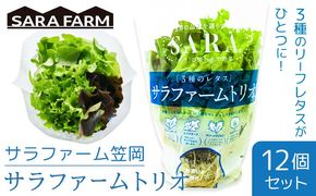 サラファームトリオ 12個セット 野菜 レタス 3種のレタス グリーンオーク レッドオーク グリーンクリスピー 《30日以内に出荷予定(土日祝を除く)》 JA晴れの国岡山 笠岡アグリセンター 野菜 岡山県 笠岡市---H-58---
