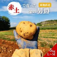 じゃがいも 男爵 5kg 産地直送 野菜 ジャガイモ 芋 赤土 加西市 栄町