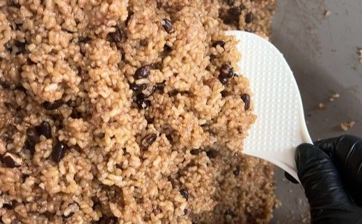 発芽酵素玄米 15食セット【MINORI CAFÉ 発酵食カフェ】_HA1772