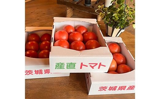 トマト「プリマドンナ」・「桃太郎」・「かれん」ギュッと美味しさ詰まったトマト 2kg 箱入り ※離島への配送不可 ※2026年2月～4月下旬頃に順次発送予定