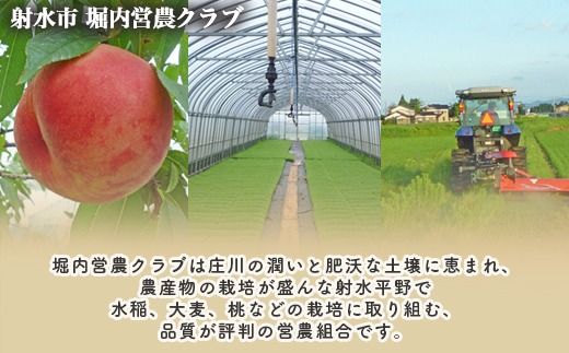 【射水市】【射水の美味しいお米】ほりうち米 R8年度産ミルキークイーン5kg【無洗米】※2026年9月下旬～10月中旬頃に順次発送予定 ※離島への配送不可