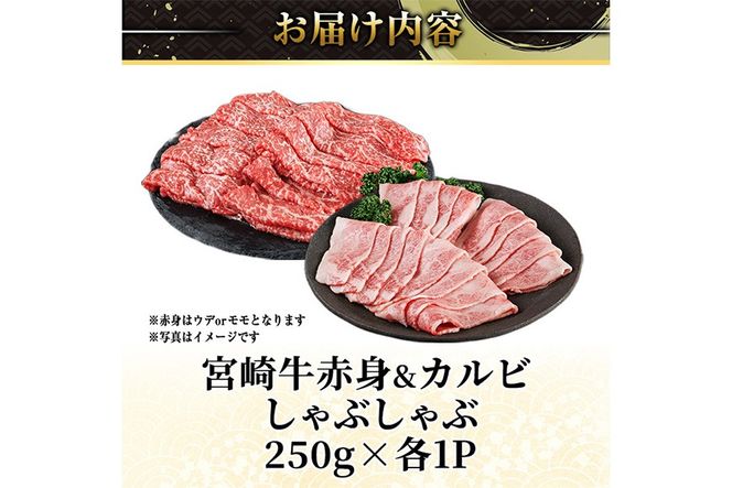宮崎牛 赤身＆カルビカット しゃぶしゃぶ (合計500g・250g×2) しゃぶしゃぶ お肉 牛肉 黒毛和牛 宮崎牛 ブランド和牛 冷凍 国産 カルビ 赤身 宮崎県産 【YM-43】【YAMATO株式会社】