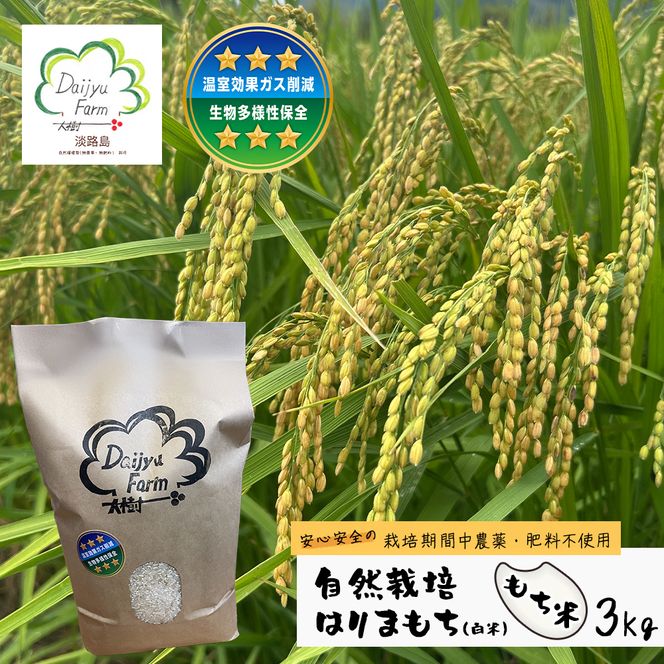 自然栽培もち米　はりまもち（白米）　3kg