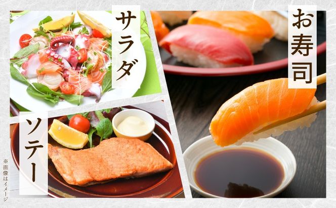 030D239 アトランティックサーモン 1.6kg【ポーション 小分け 刺身 海鮮丼 さーもん 冷凍 訳あり サイズ不揃い まとめ買い】