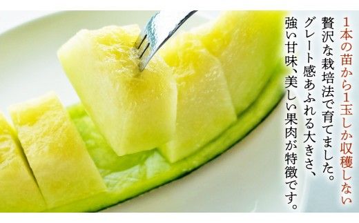 完熟 アールスメロン 大箱 4玉～5玉 2026年産 先行予約 メロン マスクメロン 青肉 果物 フルーツ 茨城県産 期間限定 数量限定 [AF082ci]