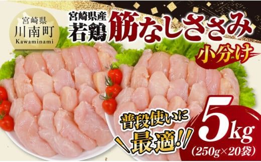 宮崎県産若鶏 筋なしささみ5kg(250g×20) [ 鶏肉 とり肉 ささみ 真空パック ][D11619]