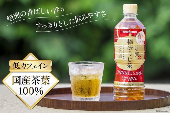 6回 定期便 お茶 ペットボトル 加賀 棒ほうじ茶 525ml 24本 1箱 総計144本 [油谷製茶 石川県 宝達志水町 38601035] ほうじ茶  おちゃ 茶 ちゃ ２４本 500ml 以上 飲料 ドリンク ソフトドリンク 常温 保存 備蓄 常備品 災害 非常用