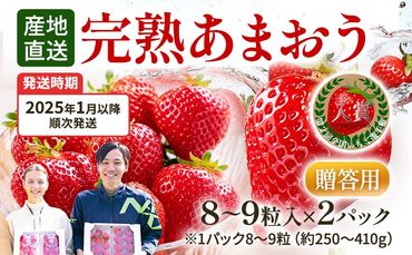 あまおう 8～9粒入り×2パック （先行受付／2025年1月以降順次発送予定）いちご 大粒 不揃い DX デラックス エクセレント 苺 イチゴ 福岡高級 フルーツ 土産 福岡県