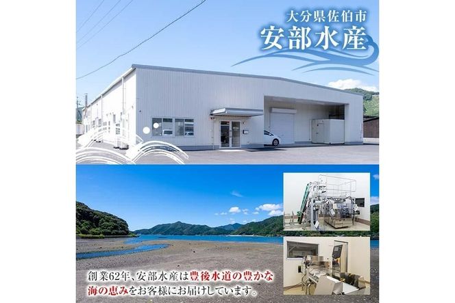  佐伯市産 国産海藻詰め合わせ (9品) ひじき 海藻 ふりかけ ちりめん こんぶ あおさ 味噌汁 サラダ ごはん おにぎり 常温 国産 大分県 佐伯市【DE03】【安部水産 (株)】