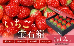 いちご 2026年 先行予約 いちごの宝石箱 1箱 12粒入り イチゴ 苺 果物 岡山県 赤磐市 