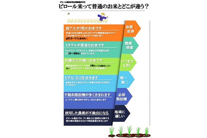 ピロール米　御殿場こしひかり　2kg ◇ ｜ 令和7年産 コシヒカリ 米 精米 白米 静岡県