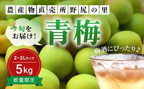 【2025年発送分先行予約】旬をお届け！青梅【２L～３Lサイズ５㎏】 ANAR019