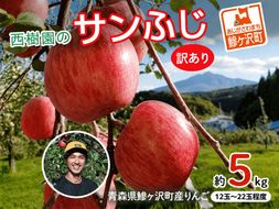 《先行予約》 りんご 訳あり サンふじ 青森県産 約 5kg  (12～22玉） 家庭用 フルーツ 果物 ふじ 産地直送 お取り寄せ 送料無料 青森県 鰺ヶ沢町 《西樹園》