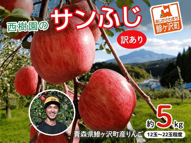 《先行予約》 りんご 訳あり サンふじ 青森県産 約 5kg  (12～22玉） 家庭用 フルーツ 果物 ふじ 産地直送 お取り寄せ 送料無料 青森県 鰺ヶ沢町 《西樹園》