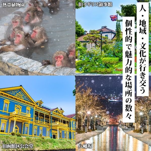 北海道 函館市 旅行クーポン 300,000円分_HD233-004