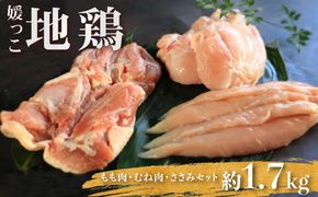 地鶏 愛媛 媛っこ地鶏 もも むね ささみセット 約1.7kg 鶏肉 鳥肉 肉 チキン むね肉 もも肉  焼肉 焼き鳥  BBQ 冷凍 国産 高級 タンパク質 低脂肪 糖質 唐揚げ チキン南蛮 サラダチキン スープ 出汁 ダイエット 愛南町 送料無料 ローカルスタンダード