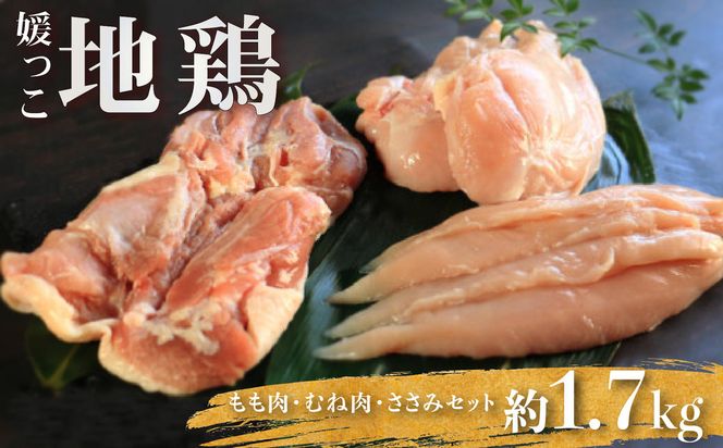 地鶏 愛媛 媛っこ地鶏 もも むね ささみセット 約1.7kg 鶏肉 鳥肉 肉 チキン むね肉 もも肉  焼肉 焼き鳥  BBQ 冷凍 国産 高級 タンパク質 低脂肪 糖質 唐揚げ チキン南蛮 サラダチキン スープ 出汁 ダイエット 愛南町 送料無料 ローカルスタンダード