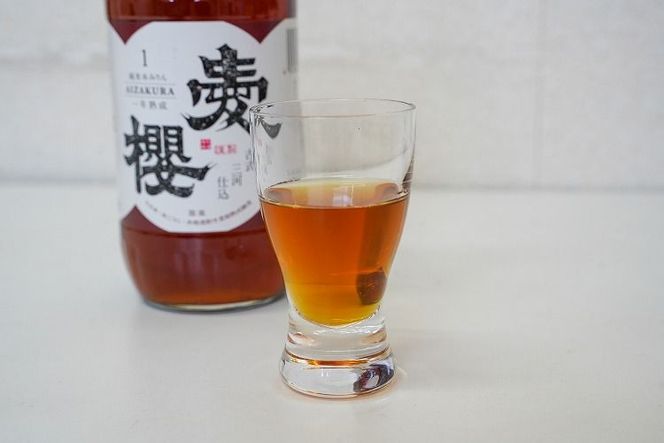 古式三河仕込　愛櫻　純米本みりん（1年熟成）　12本セット H009-059