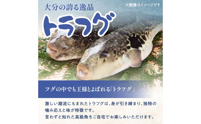 【E05029】トラフグ うす引き・チリセット（33cm皿）【4月～10月までお届け】