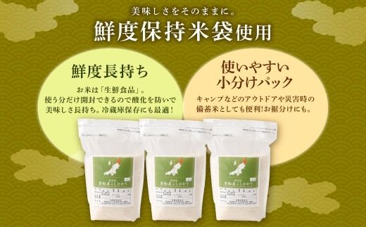 【新米受付・令和8年産米】新潟県村上市岩船産 コシヒカリ6kg（2kg×3袋）1099004N