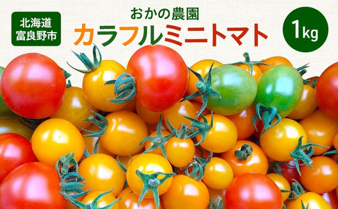【2026年夏～発送】おかの農園 カラフル ミニトマト 1kg セット 詰合せ サイズ混合 複数 品種 新鮮 野菜 産地直送 北海道 富良野 ふらの