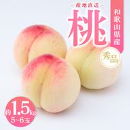 【産地直送】和歌山県産 桃 約1.5kg（5～6玉）秀品 もも