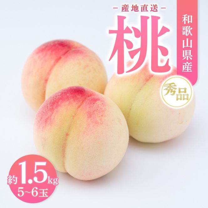 【産地直送】和歌山県産 桃 約1.5kg（5～6玉）秀品 もも