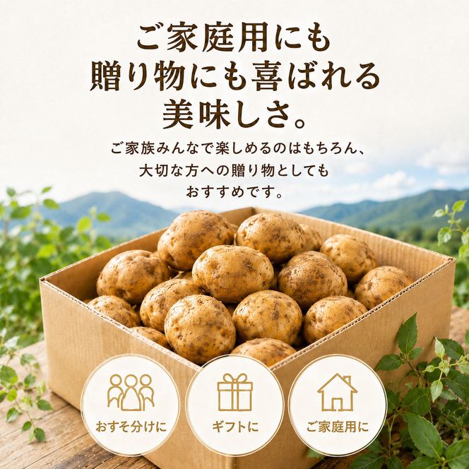 じゃがいも きたあかり 5kg 産地直送 農家直送 野菜 キタアカリ  甘い ホクホク ポテトサラダ コロッケ じゃがバター 常温 保存 備蓄 大容量 サイズ 不揃い 混合 家庭用 おうちごはん 送料無料　大河原町