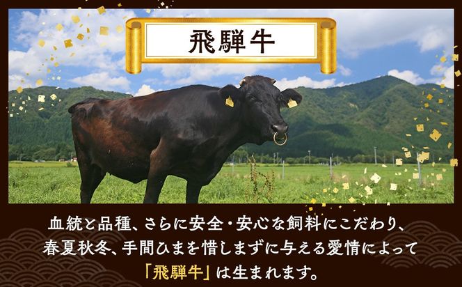 飛騨牛 焼肉 切り落とし 1kg | 牛肉 肉 切落し 飛騨牛 訳あり 訳アリ わけあり ワケアリ 不揃い 冷凍 まるたか 食品 バーベキュー BBQ 家用 家庭用 岐阜 瑞穂市