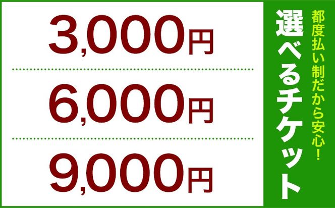 脱毛 チケット 脱毛サロン Mizuki あおば整骨院 3,000円~9,000円チケット 《30日以内に発送予定(土日祝除く)》熊本県 玉東町 脱毛 美容脱毛 メンズ脱毛 美容 サロン 完全個室 都度払い制 リオキシー 腕 脇 うなじ 膝
