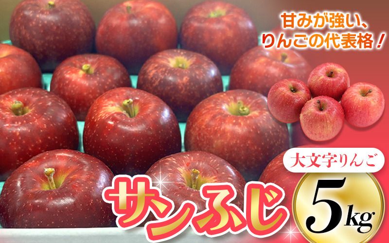りんご・梨カテゴリ人気ランキング第1位 ≪12月末までの受付≫[2025年12月上旬より順次発送]大文字りんご園 サンふじ 小玉サイズ 約5kg (約18~20玉)/ 樹上完熟 りんご リンゴ 林檎 果物 くだもの フルーツ 甘い 旬 産地直送 予約 先行予約[dma513-sf-5D]
